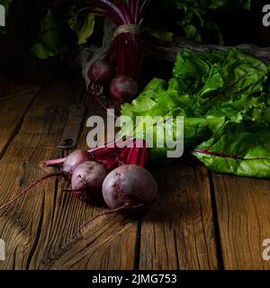 Botwina, jeune Beetroot rustique Banque D'Images