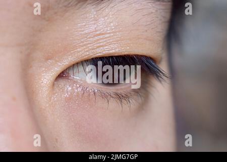 Asiatique du Sud-est, jeune homme chinois avec un seul paupière ou un seul monoïde. Un monolid signifie qu'il n'y a pas de ligne de pli visible sous la zone du front. Gros plan vi Banque D'Images