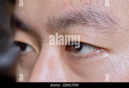 Asiatique du Sud-est, jeune homme chinois avec un seul paupière ou un seul monoïde. Un monolid signifie qu'il n'y a pas de ligne de pli visible sous la zone du front. Gros plan vi Banque D'Images