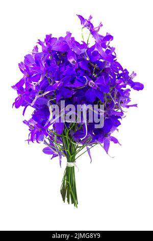 Bouquet de fleurs violettes sur fond blanc Banque D'Images