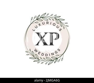 XP initiales lettre mariage monogramme logos modèle, dessin à la main moderne minimalistes et modèles floraux pour cartes d'invitation, Enregistrer la date, élégant Illustration de Vecteur
