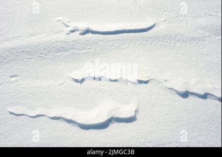 La texture de la neige Banque D'Images
