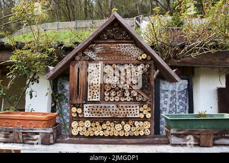 Vue sur une maison d'insectes dans le jardin, protection des insectes, nommé hôtel d'insectes, Insektenhotel. Banque D'Images