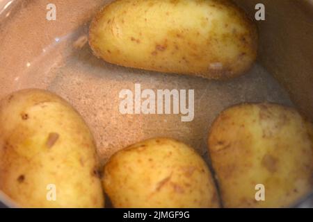 De délicieuses pommes de terre jeunes polonaises bouillies dans une casserole. Banque D'Images