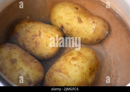 De délicieuses pommes de terre jeunes polonaises bouillies dans une casserole. Banque D'Images