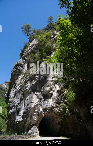 Canyon et gorge boisés dans une chaîne de montagnes, le Canyon Anisclo, Parc National d'Ordesa, Aragon Espagne, ciel bleu Banque D'Images