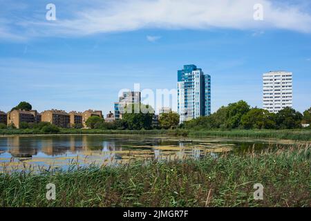 Woodberry Wetlands, dans le nord de Londres, à la fin de l'été 2022, avec des logements anciens et nouveaux en arrière-plan Banque D'Images