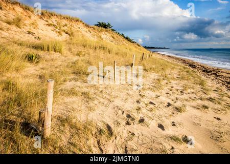 Dune de sable et clôture sur une plage au coucher du soleil. Île RE Banque D'Images
