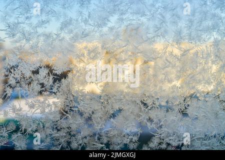 Fleurs de glace sur une fenêtre par temps froid en hiver Banque D'Images