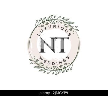 NT initiales lettre mariage monogramme logos modèle, dessin à la main moderne minimalistes et modèles floraux pour cartes d'invitation, Save the Date, élégant Illustration de Vecteur