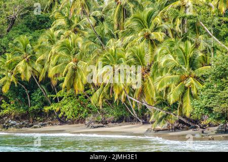 Une plage en République Dominicaine Banque D'Images