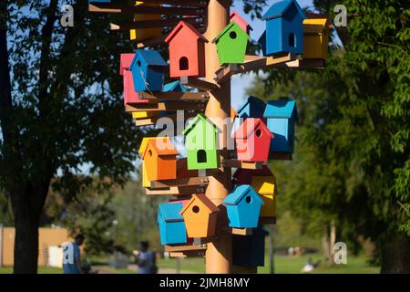 Maisons pour oiseaux. Maisons en bois de couleur. Un élément dans le parc. Objet d'art pour animaux. Banque D'Images