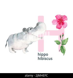 Lettre H, hippopotame avec hibiscus, animaux colorés et fleurs de l'alphabet ABC. Illustration aquarelle isolée sur fond blanc. Banque D'Images