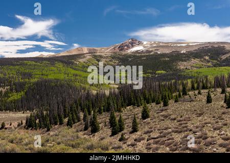 13 383 pi Mount Baldy Cinco vue depuis le Silver Thread Scenic Byway, dans les montagnes de San Juan sur la ligne de partage continentale près de Creede Colorado. Banque D'Images