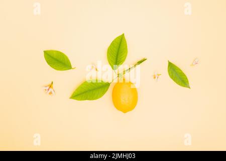 Vue de dessus citron avec feuilles Banque D'Images
