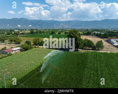 Vue d'été italienne d'un arroseur agricole automatique dans un champ de maïs, vue aérienne Banque D'Images