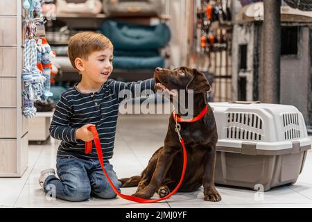 Adorable boutique d'animaux de compagnie de chiens bruns Banque D'Images