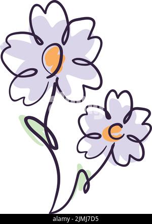 marguerites blanches plates Illustration de Vecteur