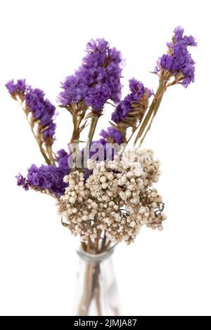 Arrangement floral de fleurs séchées dans un vase transparent sur fond blanc, gros plan, composition florale Banque D'Images