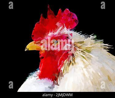 Illustration numérique peinte portrait d'un poulet isolé sur fond noir Banque D'Images