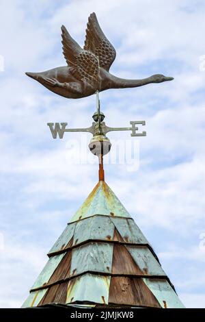 Newport News Virginia, Huntington Park Rose Garden weathervane, vent direction météo cygne d'oie, repère sites scène dans une photo Banque D'Images