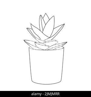 Icônes aloe vera isolées sur fond blanc. Collection aloe vera plantes vertes. Icônes plates pour logo, symbole, étiquette et autocollant. Illustration de Vecteur