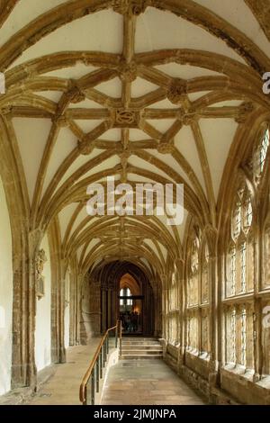 Cloître dans la cathédrale de Wells, Somerset, Angleterre Banque D'Images
