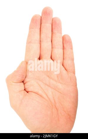 Paume pour hommes sur fond blanc. Partie du corps humain. Banque D'Images