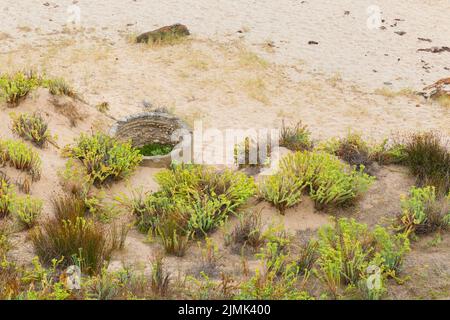 « The Well » à Petrel Cove, près de Rosetta Head, sur Encounter Bay, dans le port de Victor, en Australie méridionale. Banque D'Images