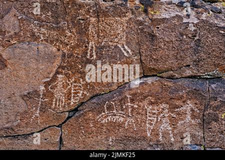 Pétroglyphes à Tuff Outcrop, Mt Irish Archaeological District, Western locus, Basin and Range National Monument, Nevada, États-Unis Banque D'Images