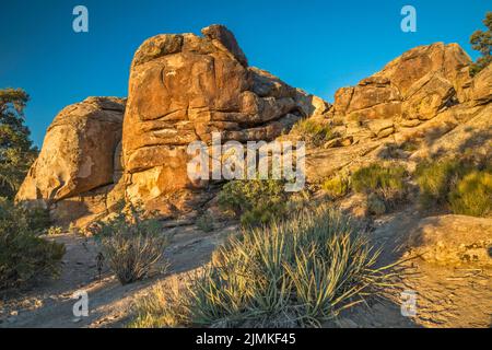 Site de Petroglyph à Tuff Outcrop, Sunrise, Mt Irish Archaeological District, Western locus, Basin and Range National Monument, Nevada, États-Unis Banque D'Images