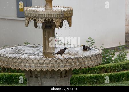 Palais de Topkapi, Istanbul, Turquie : fontaine dans la quatrième cour Banque D'Images