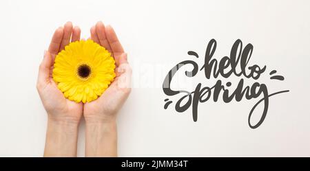 Bonjour main de printemps avec fleur Banque D'Images