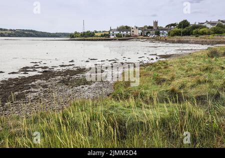 Le quai de Bere Ferrers vu de l'autre côté de la rivière Tavy avec des graminées fourragères. La marée est basse. Saisie de l'espace de copie. Banque D'Images