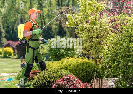 Jardinier caucasien professionnel pulvérisant des pesticides sur des plantes dans le beau jardin du client pendant les travaux réguliers d’entretien et de soins saisonniers. Banque D'Images