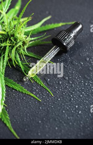 Plante de cannabis et pipette avec une huile de CBD Banque D'Images