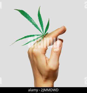 Main femelle avec une feuille de cannabis verte Banque D'Images