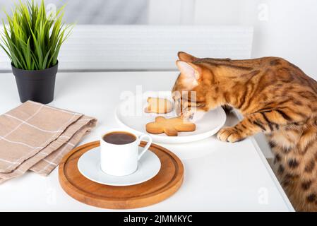 Le chat lèche les biscuits sur la table. Banque D'Images