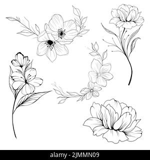 Grand ensemble de fleurs Periwinkle. Dessin à la main. Contour. Sur fond blanc. Belle esquisse d'un tatouage - une délicate brindille avec des fleurs Banque D'Images