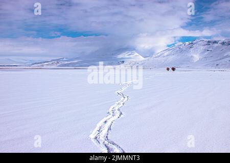 Paysage d'hiver avec montagnes et neige, svalbard.empreintes d'homme marchant sur la neige Banque D'Images