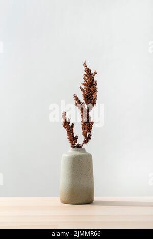 Vase avec vue avant et plante Banque D'Images