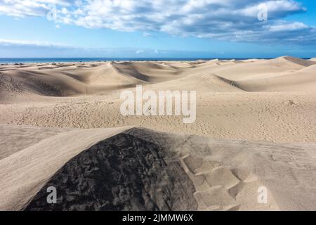 La Réserve naturelle spéciale des dunes de Maspalomas est une immense étendue de sable qui est continuellement sculptée par le vent Banque D'Images