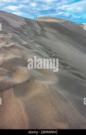 La Réserve naturelle spéciale des dunes de Maspalomas est une immense étendue de sable qui est continuellement sculptée par le vent Banque D'Images