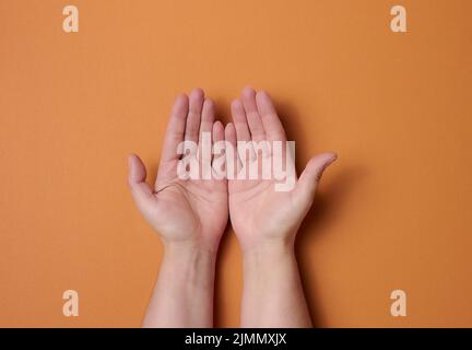 Deux mains femelles sur fond marron. Paumes vides ouvertes, vue du dessus Banque D'Images