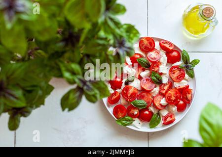 portion de salade de caprese sous la plante de basilic, concept de jardinage à la maison, vue de dessus Banque D'Images