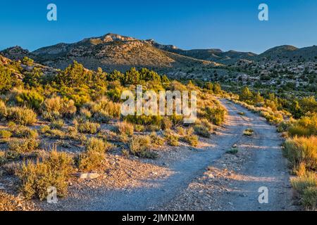 Mount Irish Range, Irish Mountain Road, Sunrise, Mt Irish Archaeological District, Western locus, Basin and Range National Monument, Nevada, États-Unis Banque D'Images