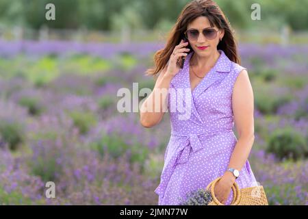 Jolie femme élégante vêtue d'une robe d'été mauve marchant dans un champ de lavande fleuris bavardant sur son téléphone mobile Banque D'Images