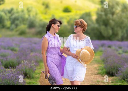 Deux bonnes femmes amis appréciant le temps de qualité ensemble se tenant souriant dans les yeux des autres dans un champ de lavande Banque D'Images