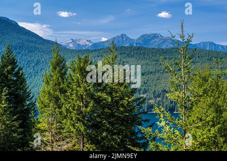 Vue sur la nature dans North Cascades NP, Washington Banque D'Images