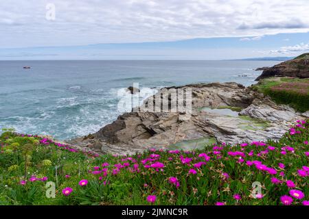 Crique rocheuse idyllique avec fleurs sur la côte de Galice avec bassins de marée en premier plan Banque D'Images